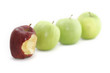 Eaten For Being Different Eaten For Being Different