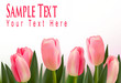 Flower design border isolated on white. Vector.