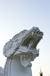 White leo White leo