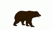 Video: Bear Bear