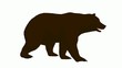 Video: Bear Bear