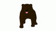 Video: Bear Bear