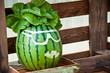 carved art on watermelon carved art on watermelon