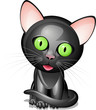 Little black cat