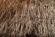 Background from thatch