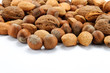 Mandorle,nocciole e noci