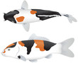 Koi Carp plan view and elevation Koi Carp plan view and elevation