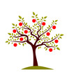 apple tree