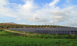 Energia rinnovabile