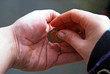 Charity