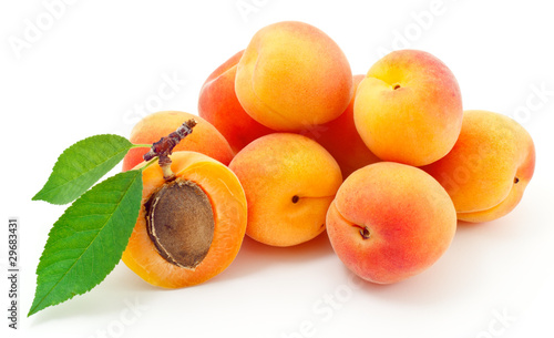 Foto: Apricot. Apricot.