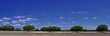 Panoramica de la dehesa.