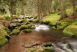 Mountain brook Mountain brook