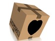 SAINT VALENTIN