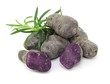Spezialität, Vitelotte