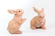 Osterhase Paar © Matthias Buehner