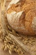 Bauernbrot