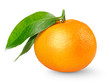 Tangerine isolated on white