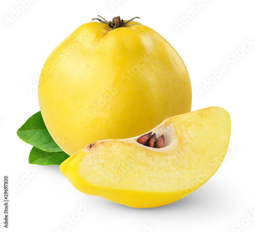 Photo: Quince isolated on white Quince isolated on white