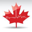 toronto maple leaf