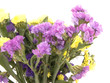 Statice flowers - Limonium Sinuatum