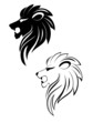 Lion head