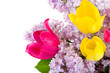 Beautiful spring bouquet