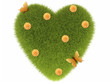 grass heart