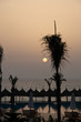 Sunset at the pool