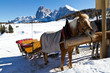 Pferdeschlitten auf der Seisser Alm, Italien