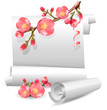 Vector gift spring  scrolls with flowering quince.