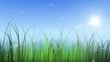 Moving grass with sun and sky Moving grass with sun and sky