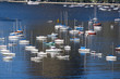 marina da glória