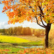 Autumn landscape