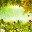 Nature background