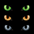 Cat Eyes n Darkness