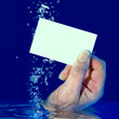 Underwater blank business card