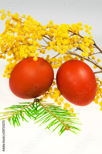 Photo: Easter painting eggs with flowers Easter painting eggs with flowers