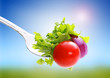 Vegetables.