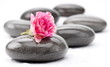 Spa stones with rose flower on a white background.