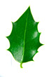 Leaf 1