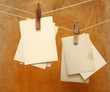 vintage photographs hang on the clothespin isolated on Wood wall vintage photographs hang on the clothespin isolated on Wood wall