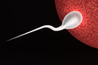 Human sperm