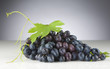 black grape black grape