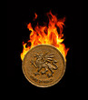 Pound coin on fire