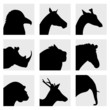 animal head silhouette vector
