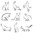 dog, cat, rabbit animal drawing vector