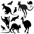 Australian  animals vector  silhouettes