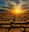 sunset over leafless earth