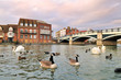 Fiume Tamigi a Windsor (UK) Fiume Tamigi a Windsor (UK)